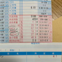 重度の貧血らしい