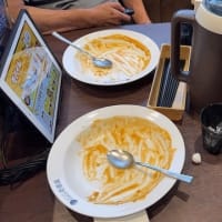 CoCo壱初体験