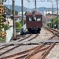 伊豆箱根鉄道大雄山線