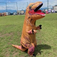 暑い戦い！？🦖ティラノサウルスレース🦖