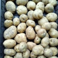私は調理するだけです