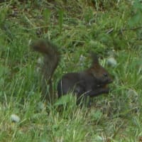 前田森林公園へ