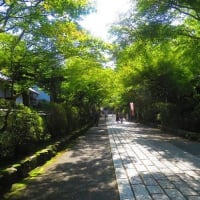 石山寺紀行　石山寺は石の山