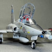 Northrop　F-5B　Freedom Fighter／T-38 Talon／F-20 Tiger shark⑪