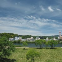 延岡ふるさと里山のチカラ再発見写真館NO 3460