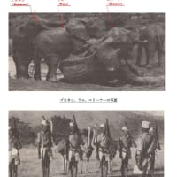 7月26日　「アフリカのラブストーリ（野生動物の保護に一生を捧げて）」の翻訳（その60）