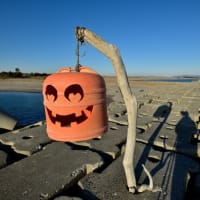 浜市の砂浜はいいなぁーー