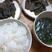 昨日の餐魚洞料理・・・ジビエ料理や、尾鷲の魚のお造りなど～♪