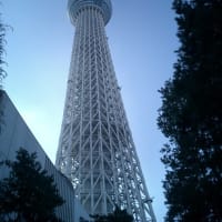 ２０１７年始まり