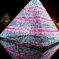 あしかがフラワーパーク