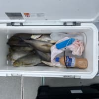 ９日・釣果