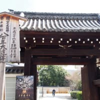イノシシの神さま  in  京都