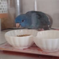 少しずつでも頑張ろう