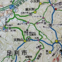 天狗山の花とハイキングマップ