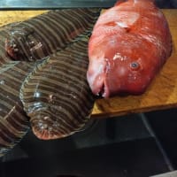夏の地魚