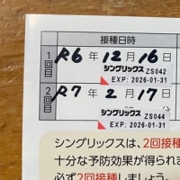 ２／１７　帯状疱疹ワクチン