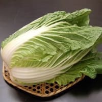 【宮城の旬の野菜おすすめレシピ】11月仙台白菜