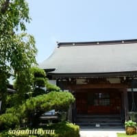 島津公と深縁の浄土宗寺院「松風山晴雲寺」
