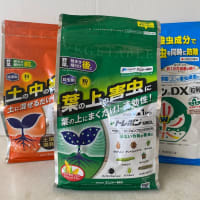 病害虫発生の季節になって