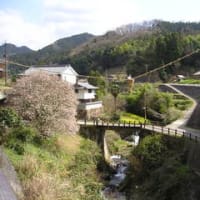 ４月２日　飛鳥路を行く