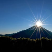 色々はゆく年に置いてきて