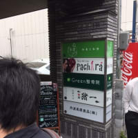 猪一