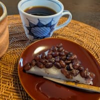 夏越の大祓え茅の輪くぐり