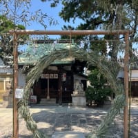 夏越の大祓えに行ってきた。(2025年)