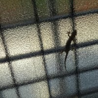 ほっとしました。