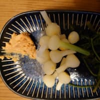 シラユキゲシ（白雪罌粟）・ゲンゲ（蓮華）・アカバナユウゲショウ（赤花夕化粧）・トウバナ（塔花）・キバラゴマダラヒトリ・キバラカメムシ・水生昆虫・俳句鑑賞