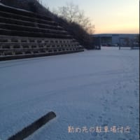 雪道出勤(>_<)