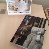 岩合光昭さんの写真集、カレンダーありがとう😊🌼