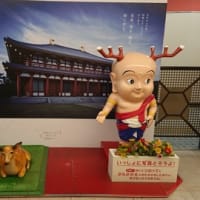 西国三十三ヶ所巡礼９番札所　『興福寺 南円堂』へ行ってきました。