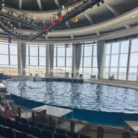 GWは茨城へ(アクアワールド水族館③)