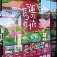 胸肩神社vs胸骨神社　正解はどっち？