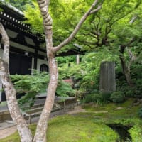 長谷寺　虚子の句碑