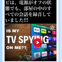 身辺調査開始【選挙投票先】2025/07/02