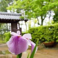 木曽三川公園の写真を４枚インスタ投稿