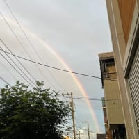 変わった雲