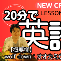【中2英語】 NEW CROWN2・Lesson2-2 GET Part2