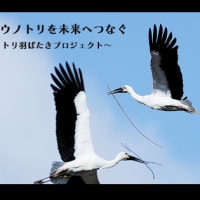 いつものlineで