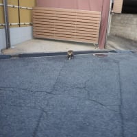 久々に日宇那、楠那町へ