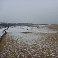 鳥取砂丘は雪だった