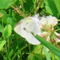 白鷺公園