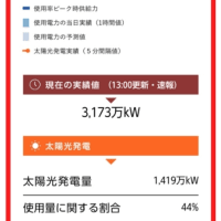 太陽光発電の比率44%、東電エリア 2024年6月16日(日)