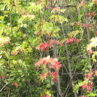 札幌にはもう秋の気配が・・　　　　　　　　　　　　　　10年前の今日　2012年10月2日の本ブログに掲載