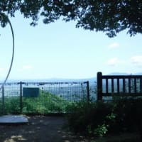 金命水（金御岳）の湧水状況は？