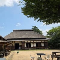 7月の歩こう会～古代ハス