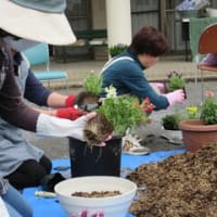 香りの寄せ植え♪