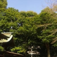 三浦哲郎 メリー ゴー ラウンド の余韻 Freaky 13 Deaky 三浦哲郎 メリー ゴー ラウンド の余韻 Freaky 13 Deaky